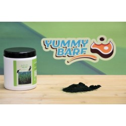 Spiruline BIO
