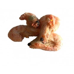 Crevettes 5kg