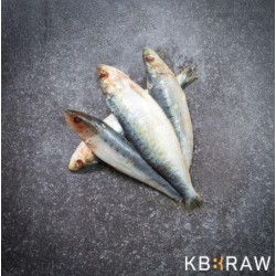 Sardines 1kg