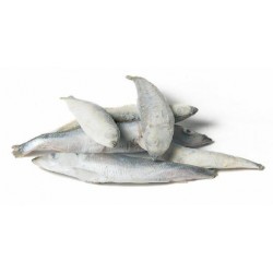 Sprat 1kg