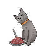 Barf - Menus chats